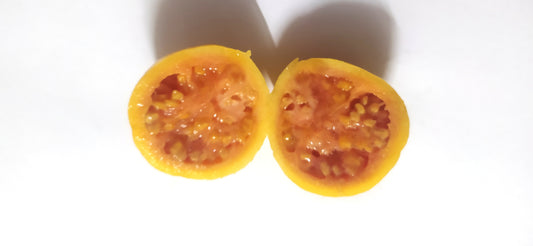 20 Graines de goyave à Chair rose- Guava - Psidium guajava - graines à planter- graines à germer- semis - graines exotiques-Guadeloupe -Mon Jardin Tropical-