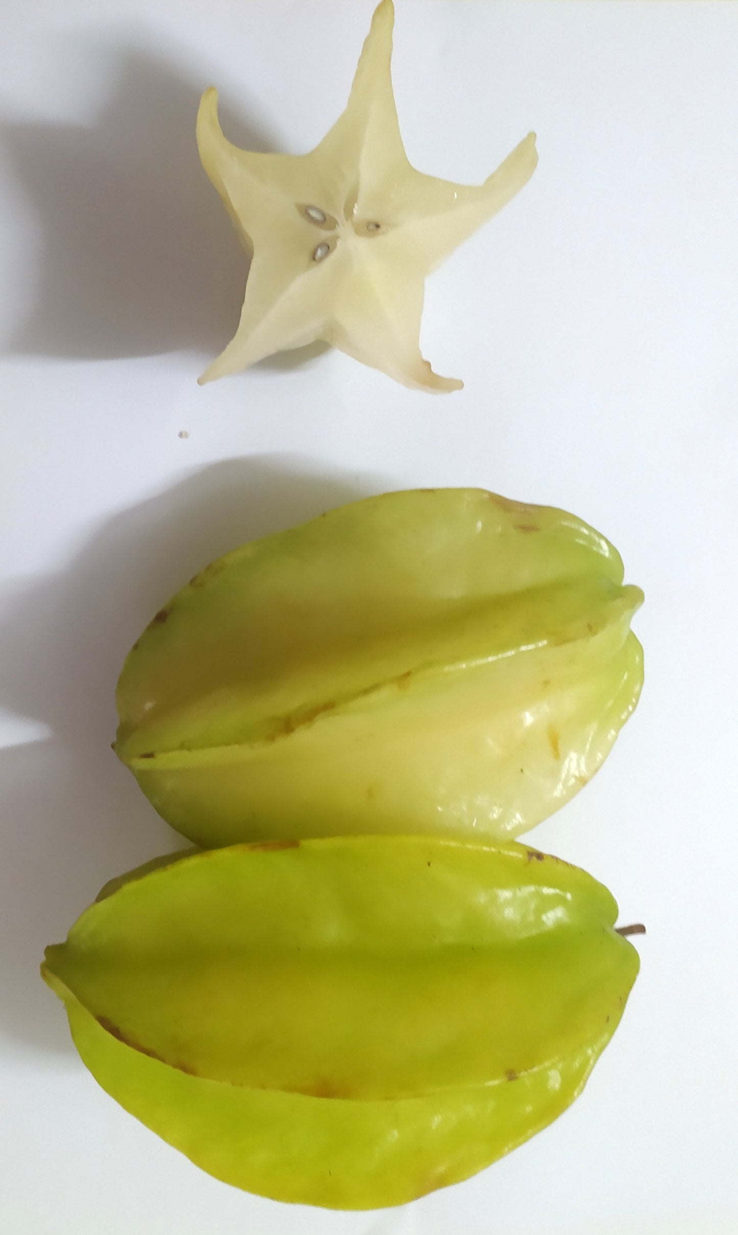 Mon Jardin Tropical- Graines à planter de carambole - graines de Carambolier  - carambola - graines à semer Averrhoa carambola -five-corner - graines tropicale