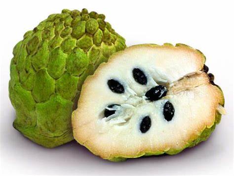 5 Graines de pommes cannelle - arbre attier - pocanelle - Annona -Annona squamosa - sweet fruit-Mon Jardin Tropical-