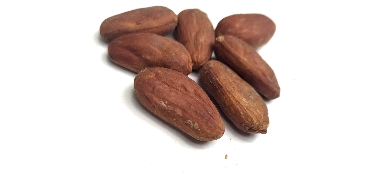 Mon Jardin Tropical- Graines de cacaoyer orange de Guadeloupe - Trinitario, cacao orange - Arbre à chocolat - fresh cocoa seed - coco seeds - fèves de cacao