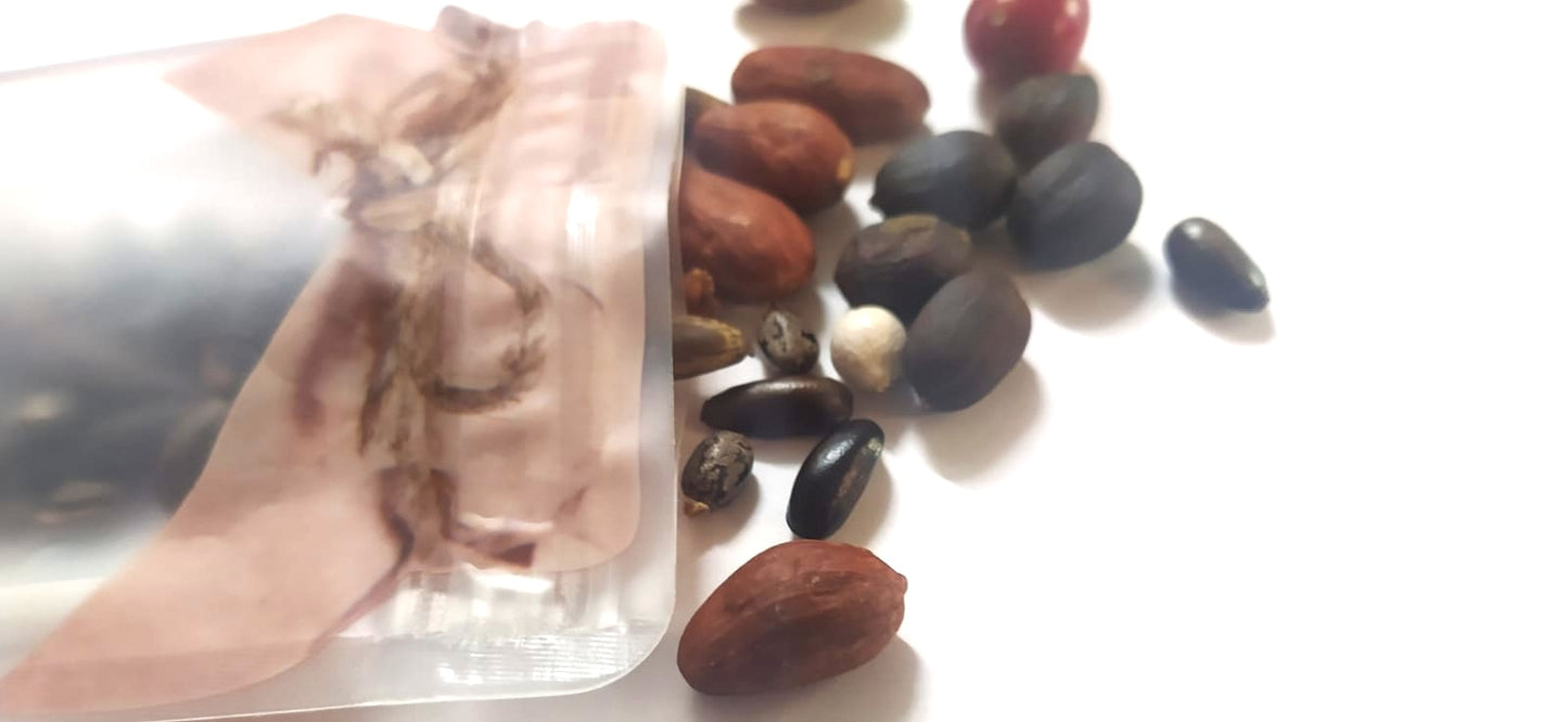 Mon Jardin Tropical- Lot graines tropicales - Mix de graines exotiques - 20 gr de variétés exotiques - Assortiment de semences- graines à semer