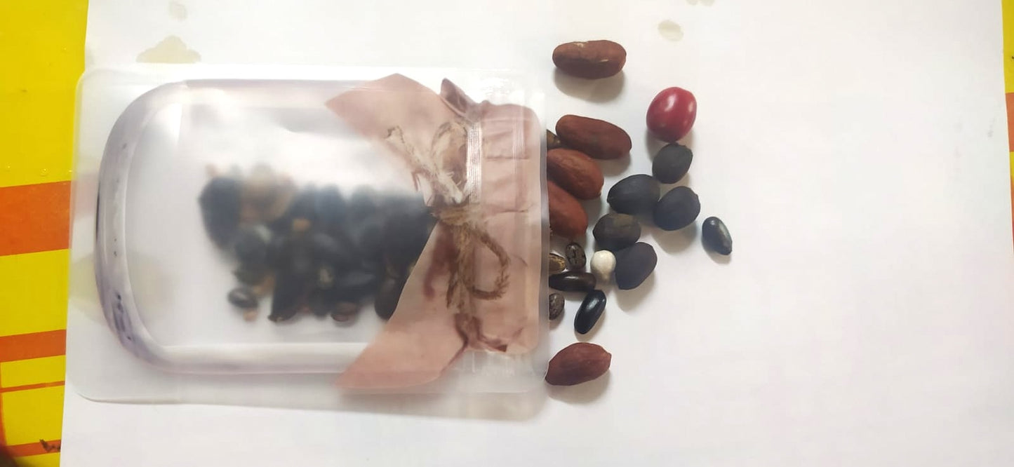 Mon Jardin Tropical- Lot graines tropicales - Mix de graines exotiques - 20 gr de variétés exotiques - Assortiment de semences- graines à semer