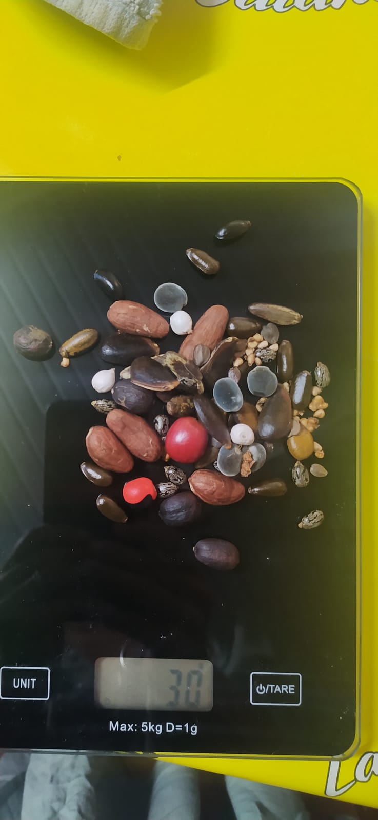 Mon Jardin Tropical-Sachet personnalisé de graines tropicales -Mix graines exotiques de Guadeloupe à personnaliser- semences -Assortiment de graines - graines à semer -cadeau