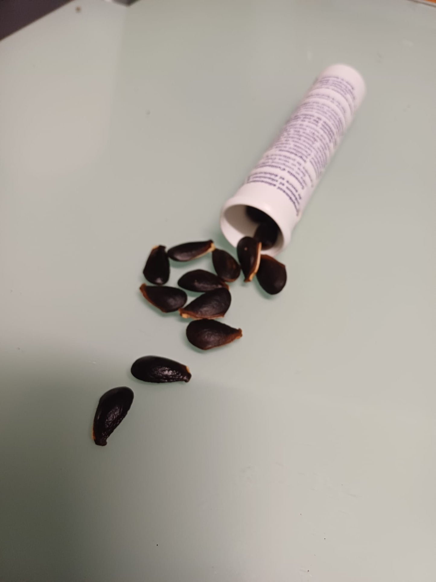 5 Graines de plantes tropicales de sapotille - graine à semer de fruit exotique du sapotillier Graines de Manilkara zapota - Sapotille FWI-Mon Jardin Tropical-