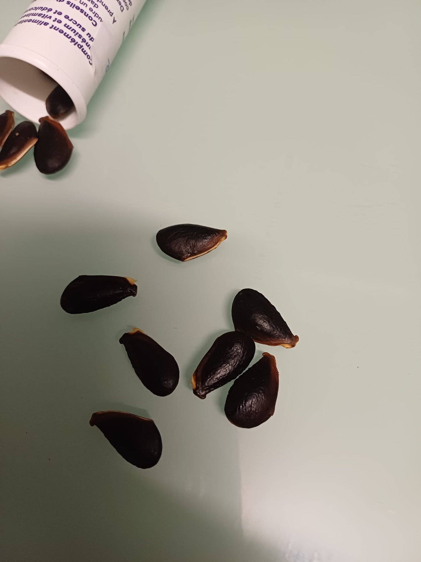 5 Graines de plantes tropicales de sapotille - graine à semer de fruit exotique du sapotillier Graines de Manilkara zapota - Sapotille FWI-Mon Jardin Tropical-