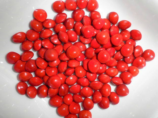 Mon Jardin Tropical- Graines l'église, adenanthera pavonina, graines l'église rouge, arbre à réglisse, grenn légliz, bead tree, coral bean tree, coralwood,Bois d'Eglise (grenn l'égliz)