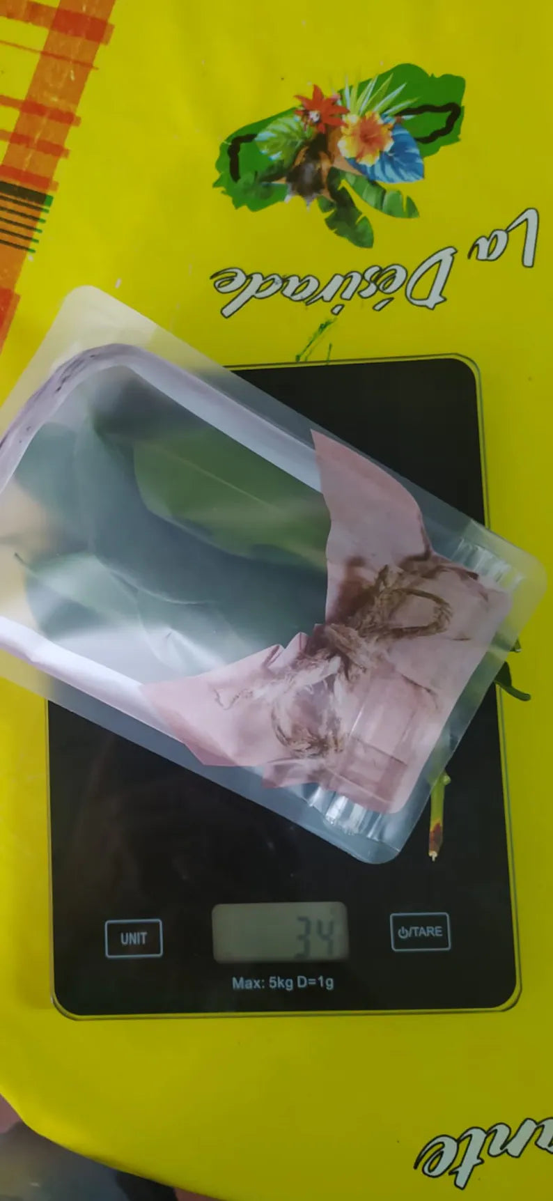 Feuilles fraîches de Bois d'Inde