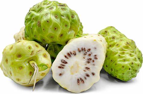 Mon Jardin Tropical- Graines de noni - graines de nono - graines pommes chien - Graines Morinda citrifolia