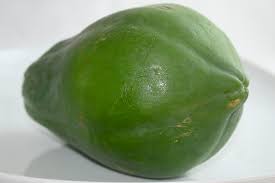 30 graines fraîches de papaye verte  - carica papaya - guadeloupe -Mon Jardin Tropical-