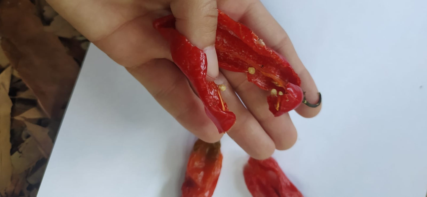 Mon Jardin Tropical- Graines de piment végétarien - Capsicum Chinense- Capsicum Chinense - Piment doux des Antilles - piment végétal