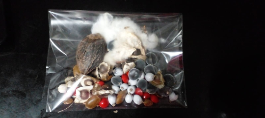 Mon Jardin Tropical-Sachet personnalisé de graines tropicales -Mix graines exotiques de Guadeloupe à personnaliser- semences -Assortiment de graines - graines à semer -cadeau