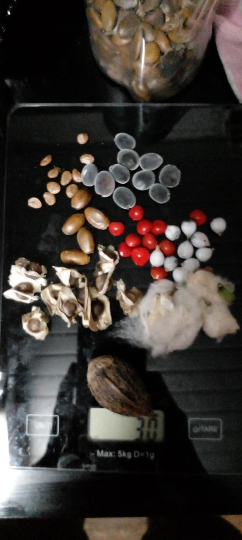 Mon Jardin Tropical-Sachet personnalisé de graines tropicales -Mix graines exotiques de Guadeloupe à personnaliser- semences -Assortiment de graines - graines à semer -cadeau