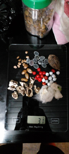 Mon Jardin Tropical-Sachet personnalisé de graines tropicales -Mix graines exotiques de Guadeloupe à personnaliser- semences -Assortiment de graines - graines à semer -cadeau