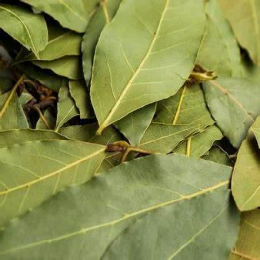 Mon Jardin Tropical- Feuilles fraîches cannelle - feuilles de cannelier -  ceylan - infusion - épices